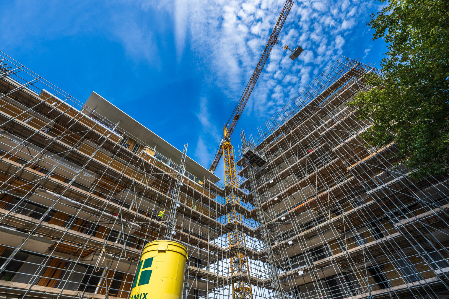 Carolinaparc project (Oct2023)-18.jpg